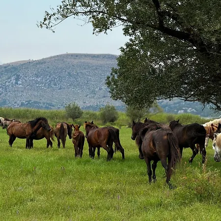 Lakeside House Apartment