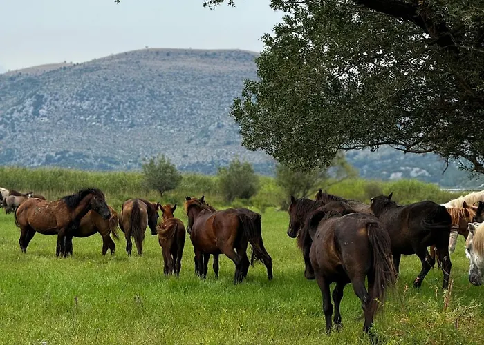 Lakeside House Daire